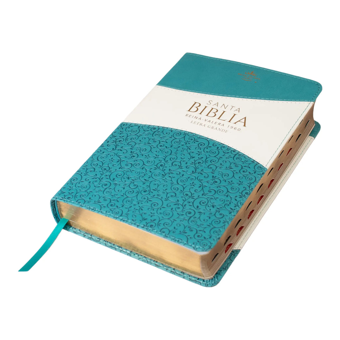 Biblia Reina Valera 1960 tamaño manual letra grande 12