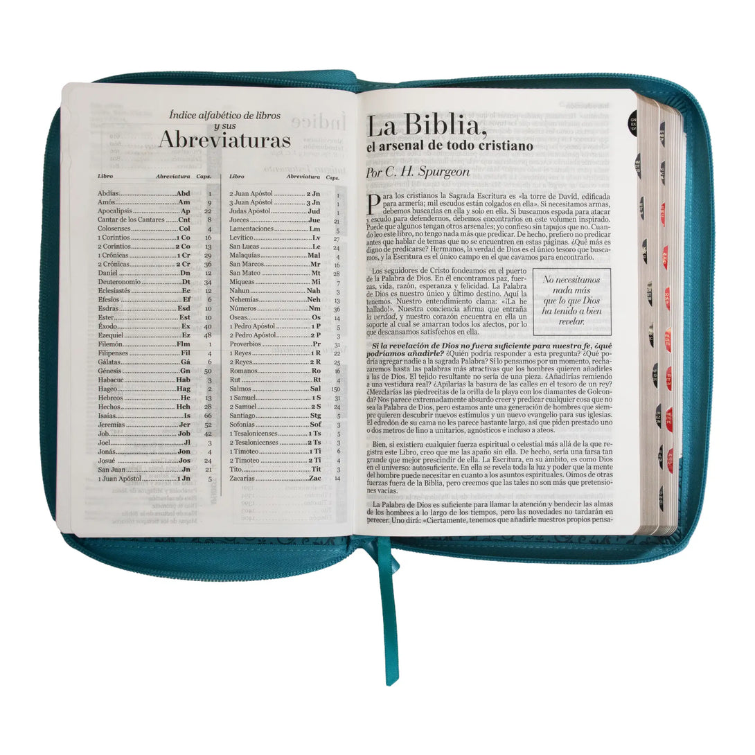 Biblia Reina Valera 1960 tamaño manual letra grande 12