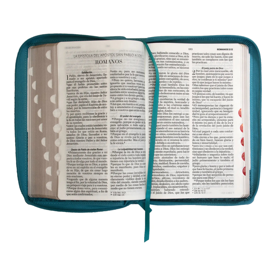 Biblia Reina Valera 1960 tamaño manual letra grande 12