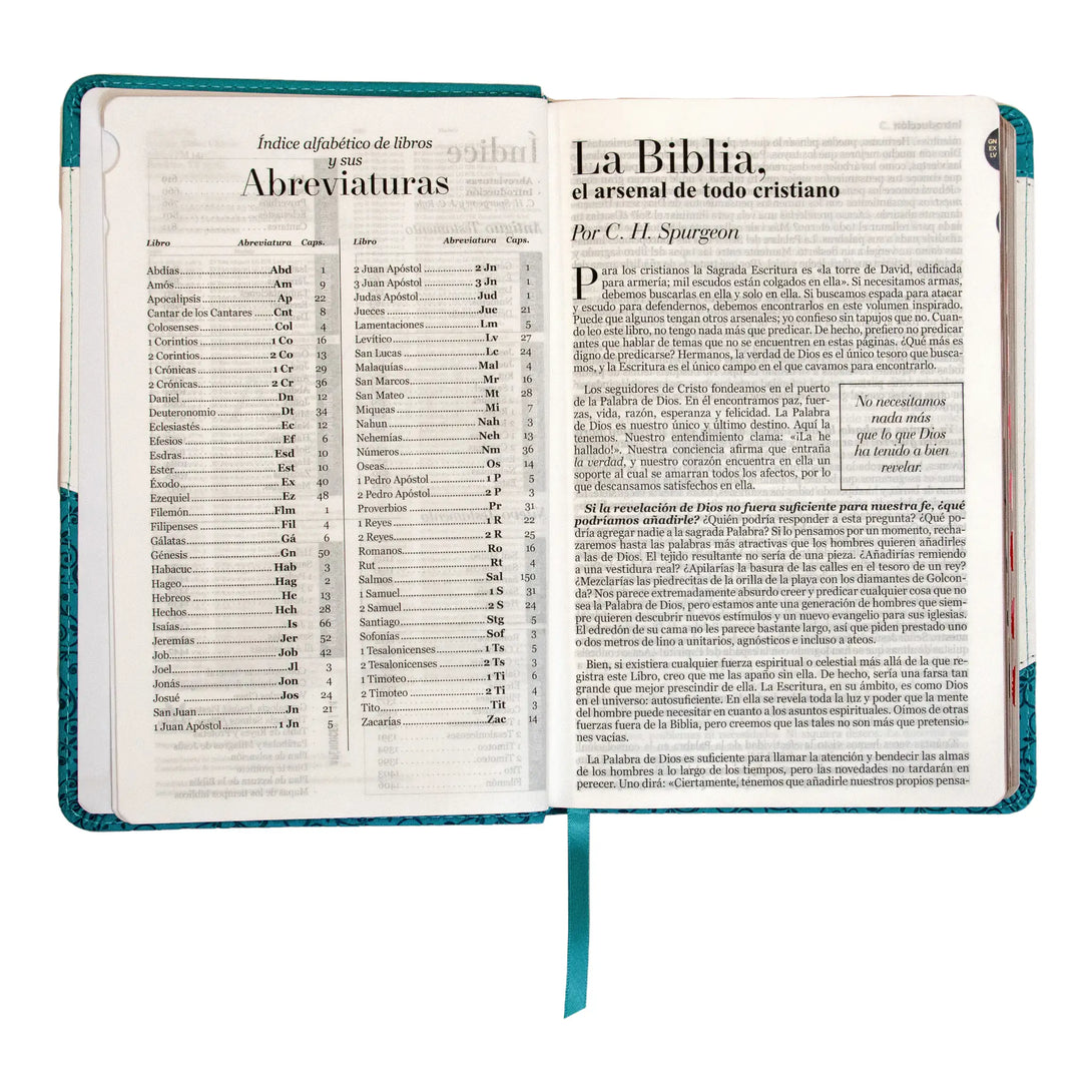Biblia Reina Valera 1960 tamaño manual letra grande 12