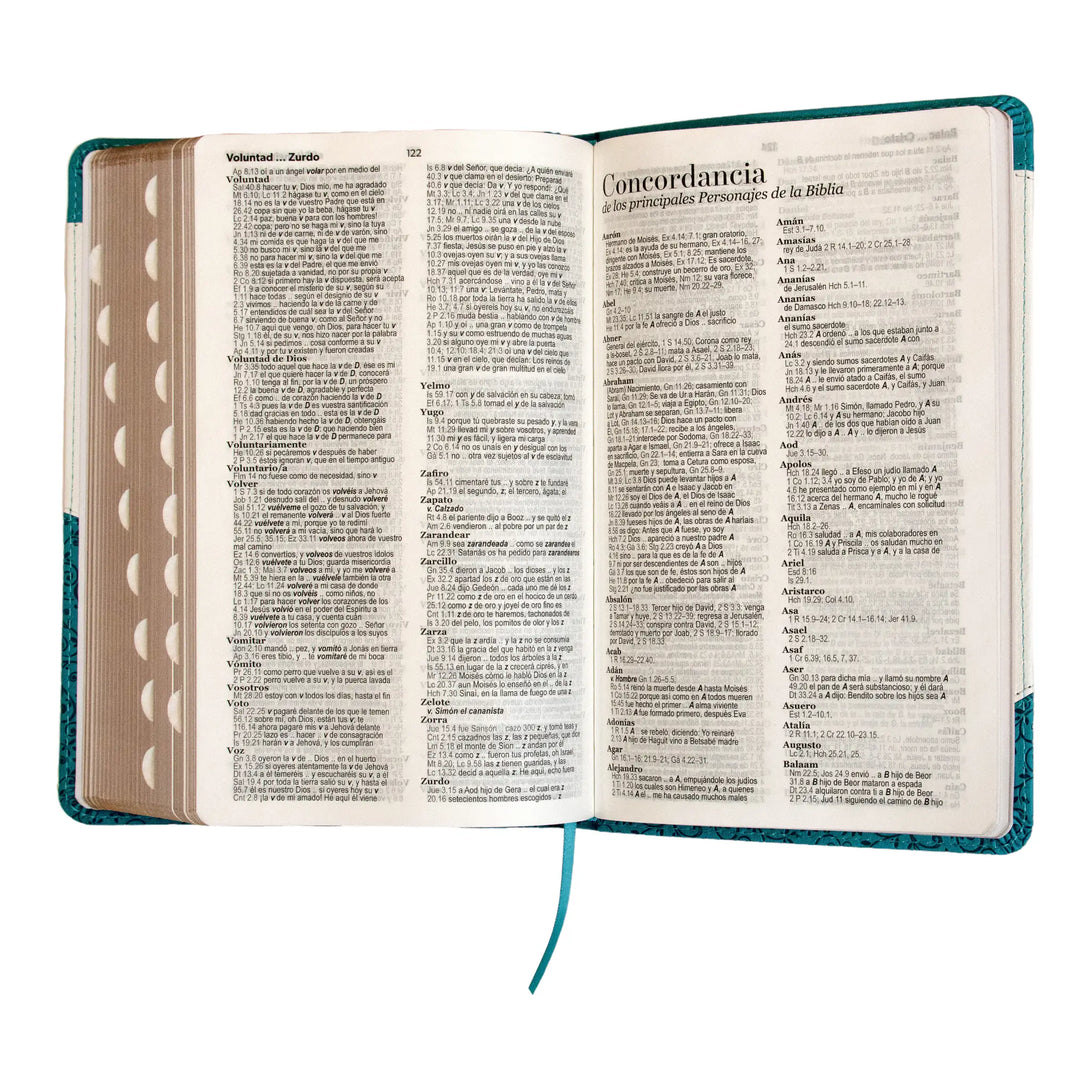 Biblia Reina Valera 1960 tamaño manual letra grande 12
