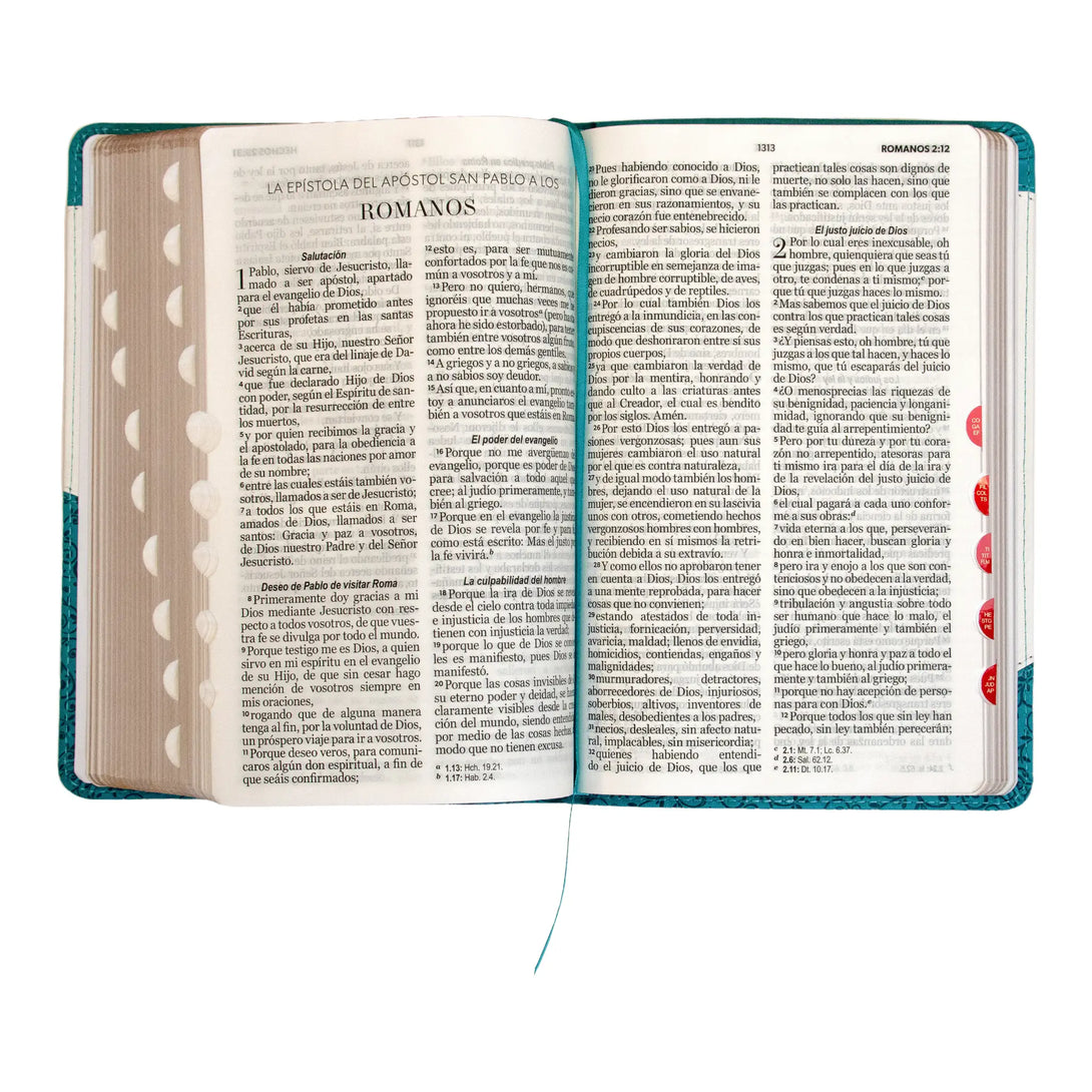 Biblia Reina Valera 1960 tamaño manual letra grande 12