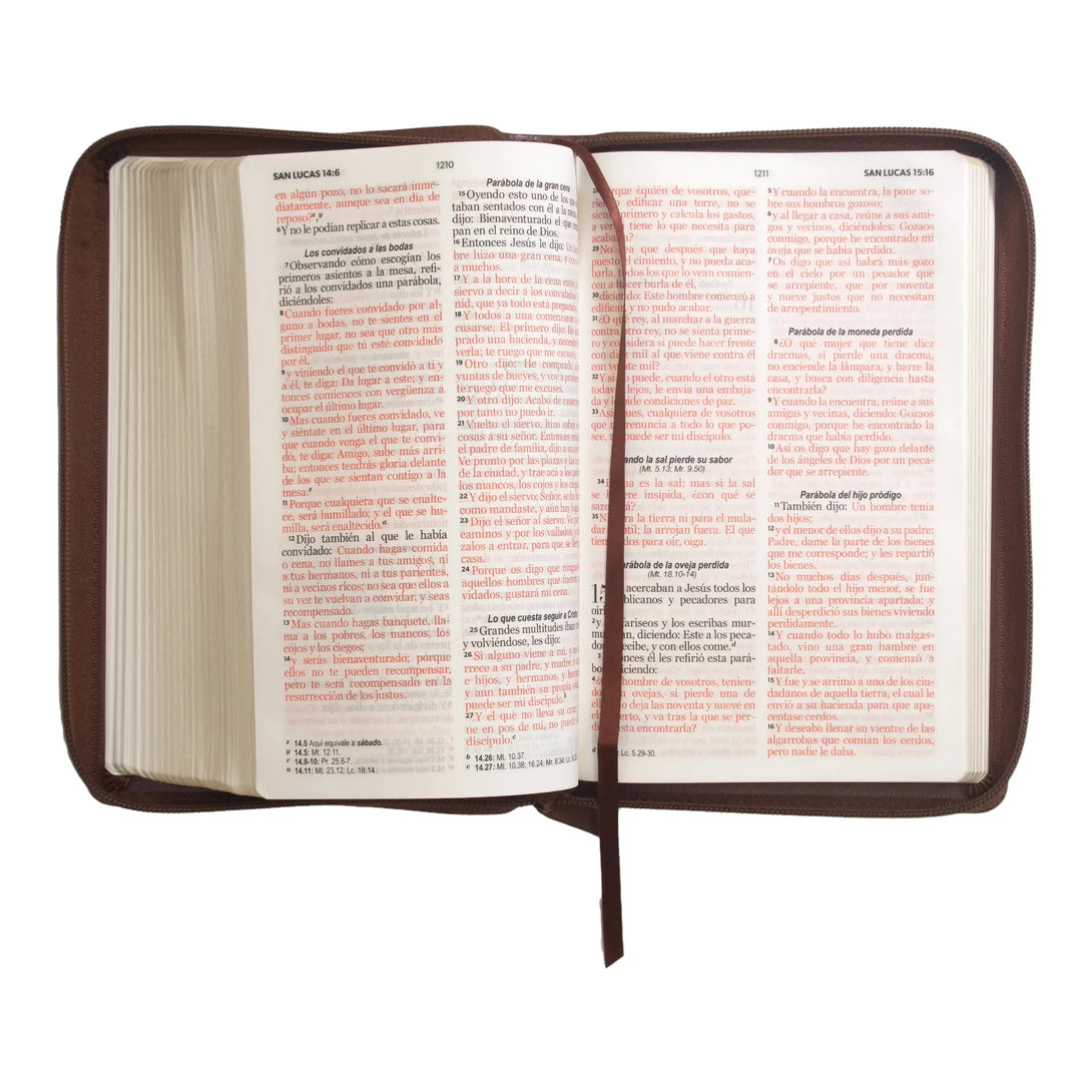 Biblia Reina Valera 1960 tamaño manual letra grande 12