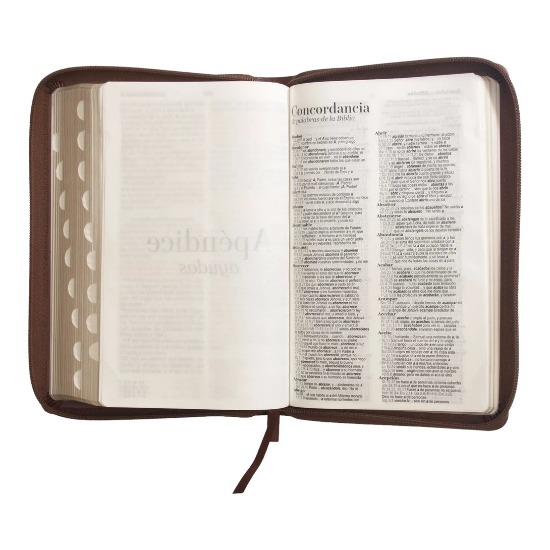 Biblia Reina Valera 1960 tamaño manual letra grande 12