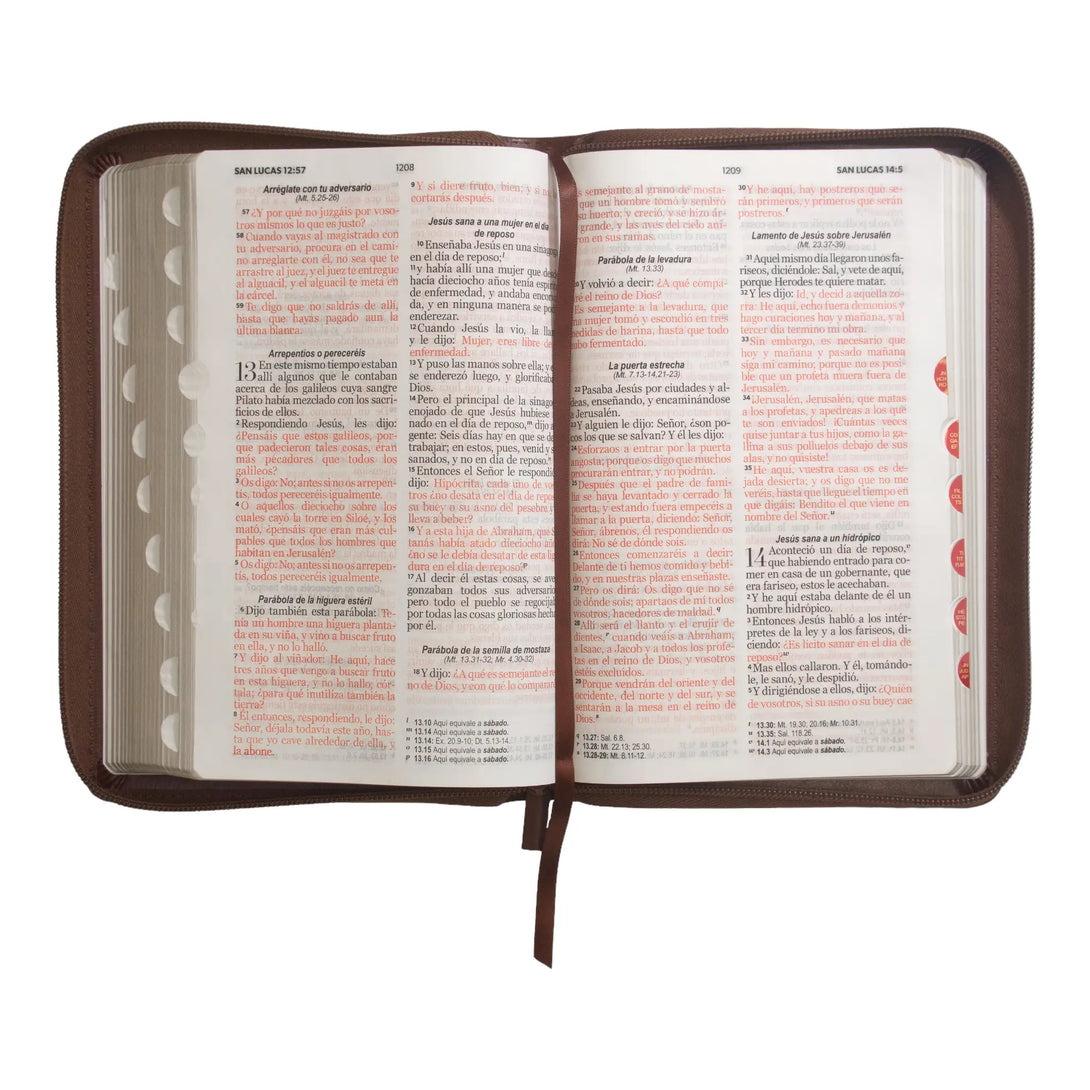 Biblia Reina Valera 1960 tamaño manual letra grande 12
