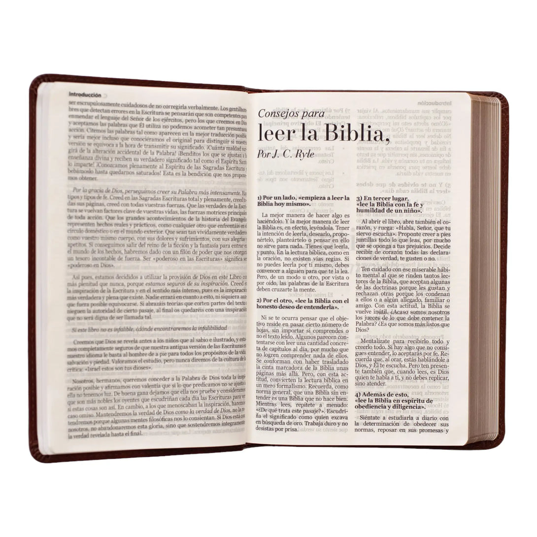Biblia Reina Valera 1960 tamaño manual letra grande 12