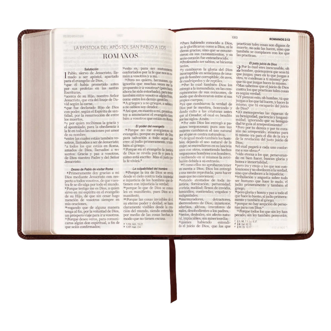 Biblia Reina Valera 1960 tamaño manual letra grande 12