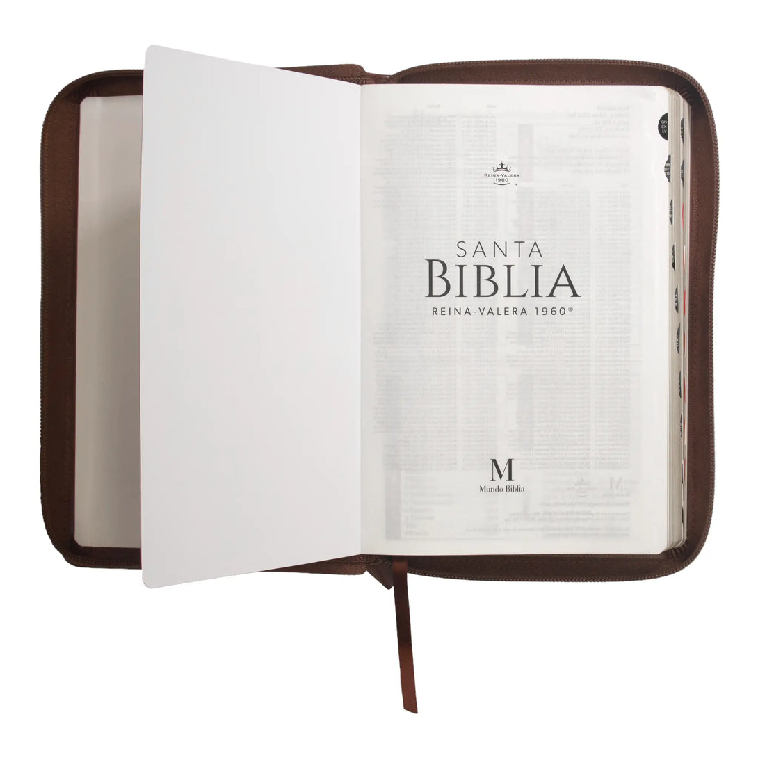 Biblia Reina Valera 1960 tamaño manual letra grande 12