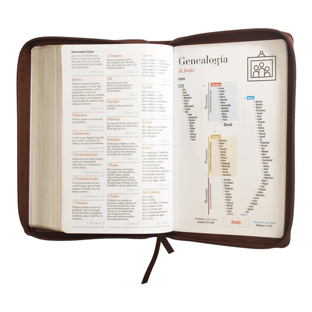 Biblia Reina Valera 1960 tamaño manual letra grande 12