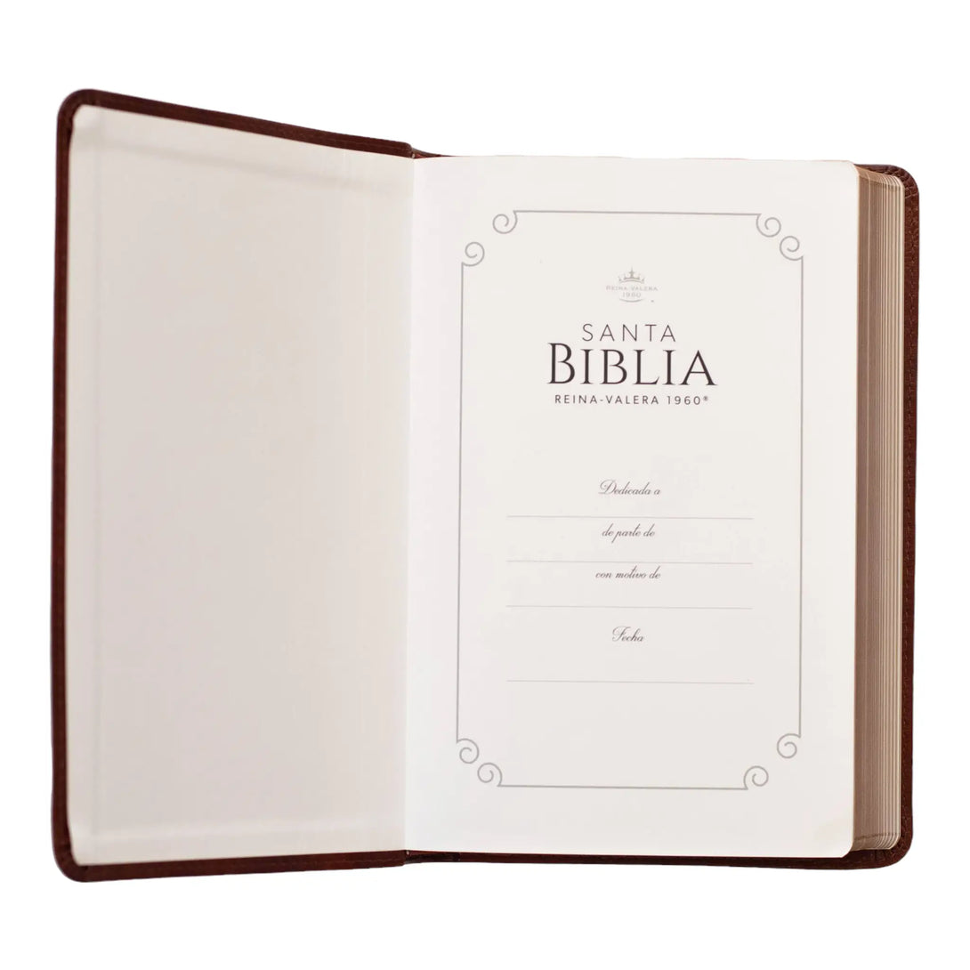 Biblia Reina Valera 1960 tamaño manual letra grande 12