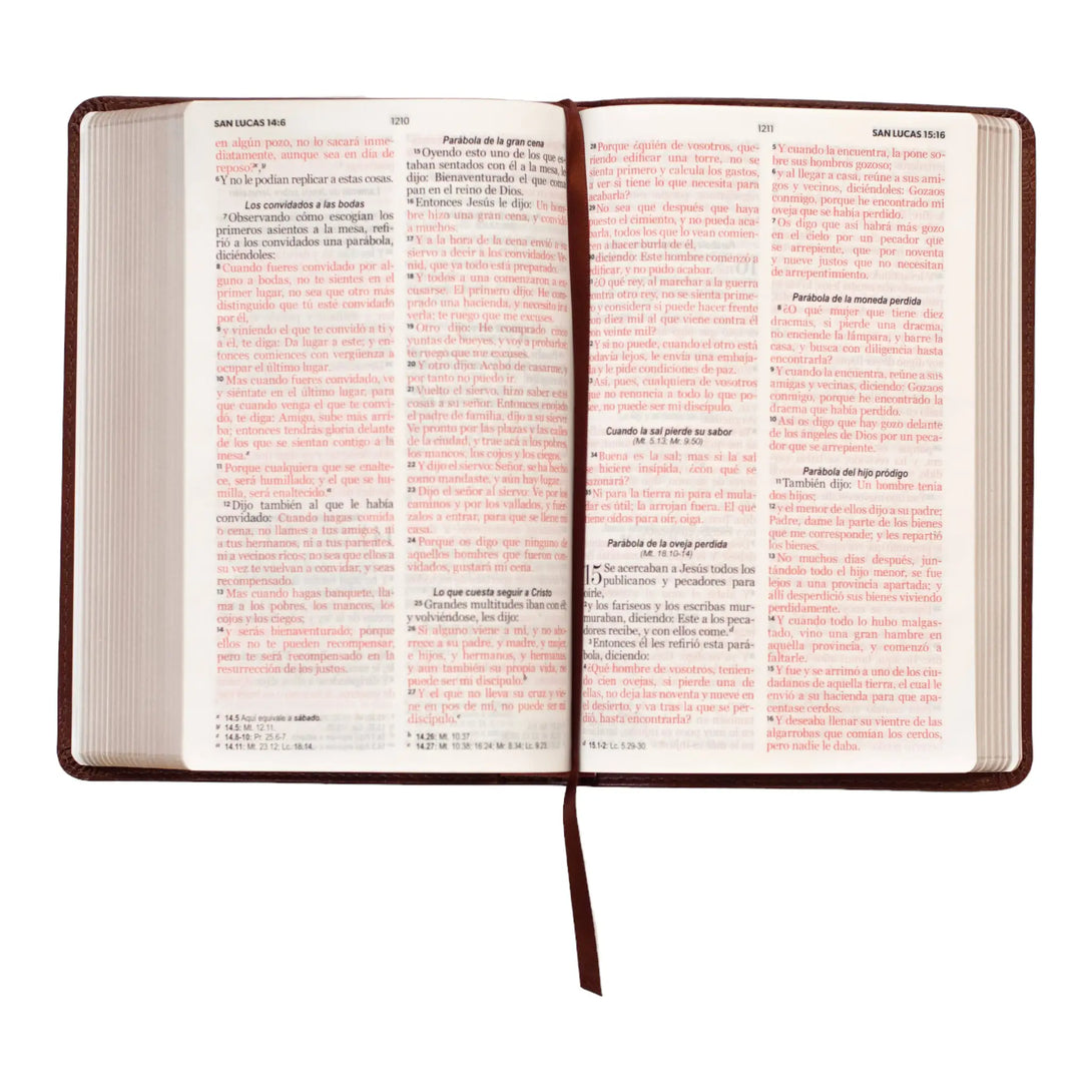 Biblia Reina Valera 1960 tamaño manual letra grande 12