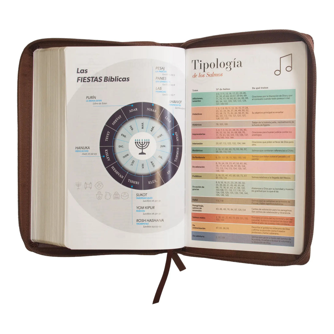 Biblia Reina Valera 1960 tamaño manual letra grande 12