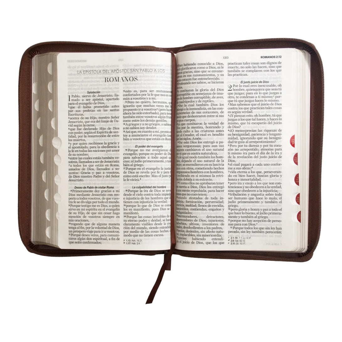 Biblia Reina Valera 1960 tamaño manual letra grande 12