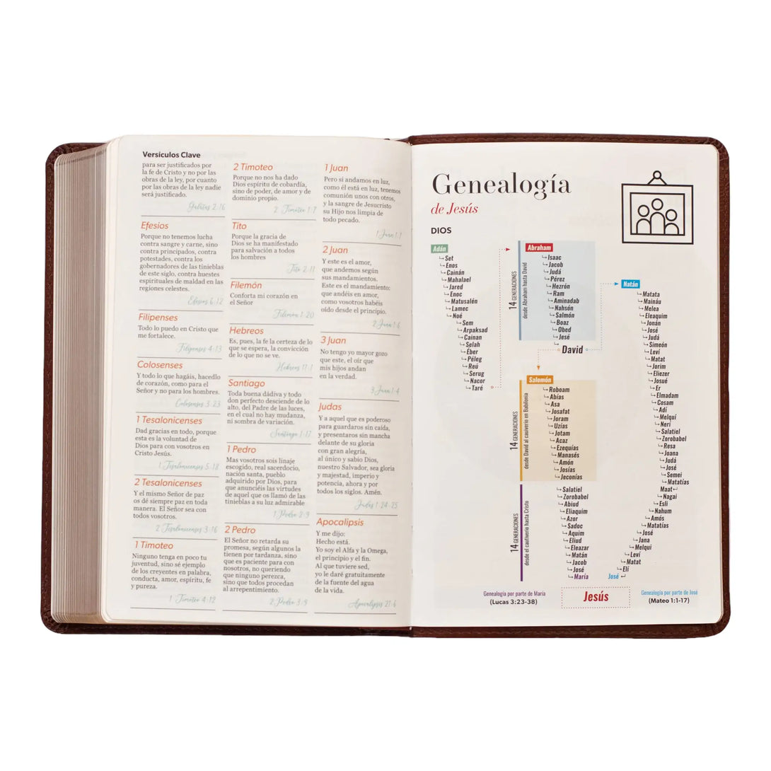 Biblia Reina Valera 1960 tamaño manual letra grande 12