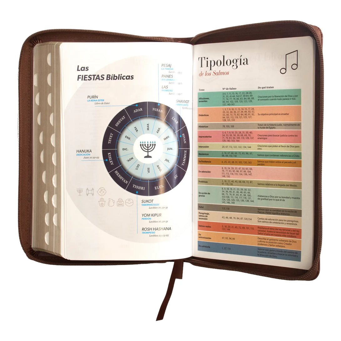 Biblia Reina Valera 1960 tamaño manual letra grande 12