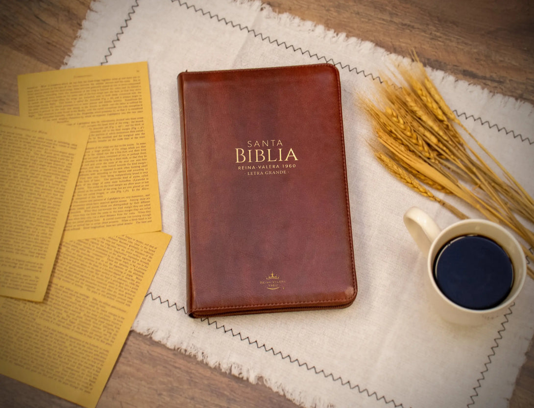 Biblia Reina Valera 1960 tamaño manual letra grande 12