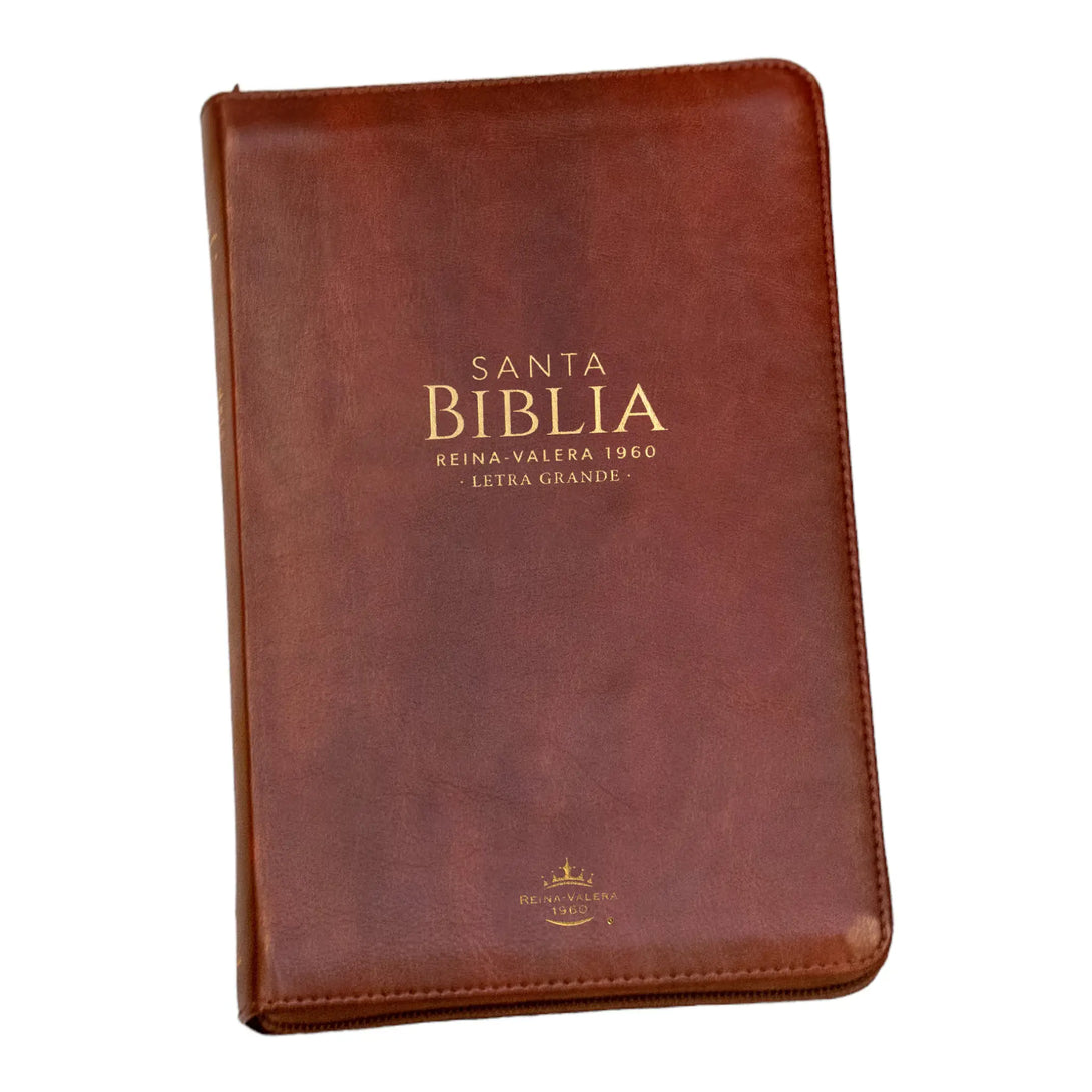 Biblia Reina Valera 1960 tamaño manual letra grande 12