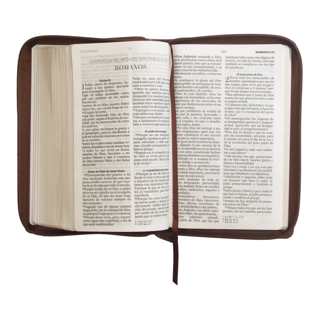 Biblia Reina Valera 1960 tamaño manual letra grande 12