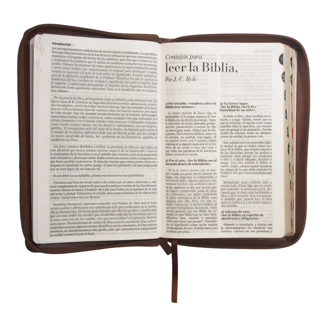 Biblia Reina Valera 1960 tamaño manual letra grande 12