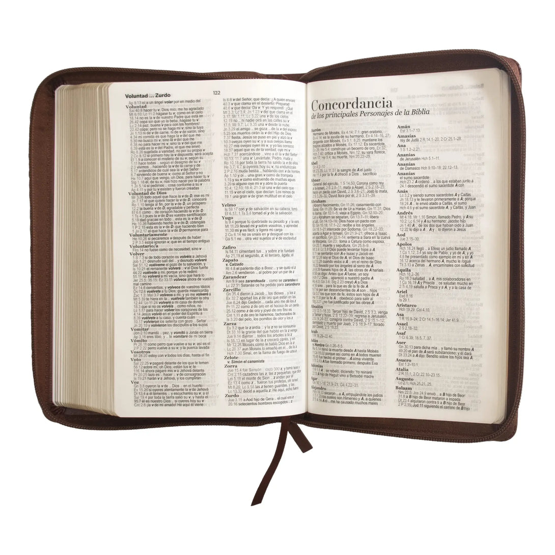 Biblia Reina Valera 1960 tamaño manual letra grande 12