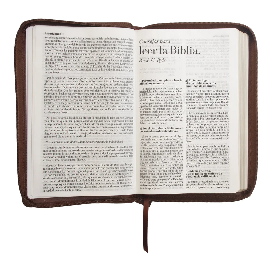 Biblia Reina Valera 1960 tamaño manual letra grande 12