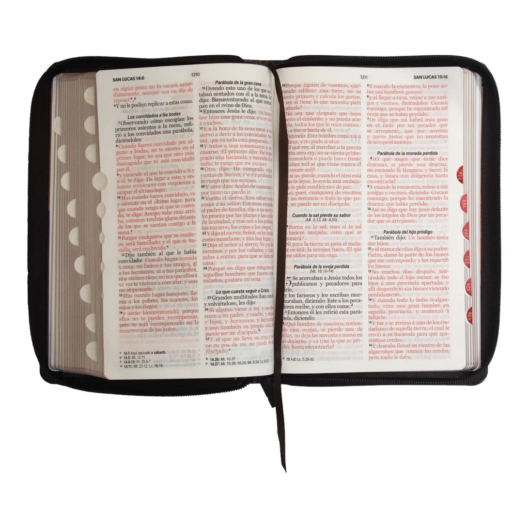 Biblia Reina Valera 1960 tamaño manual letra grande 12
