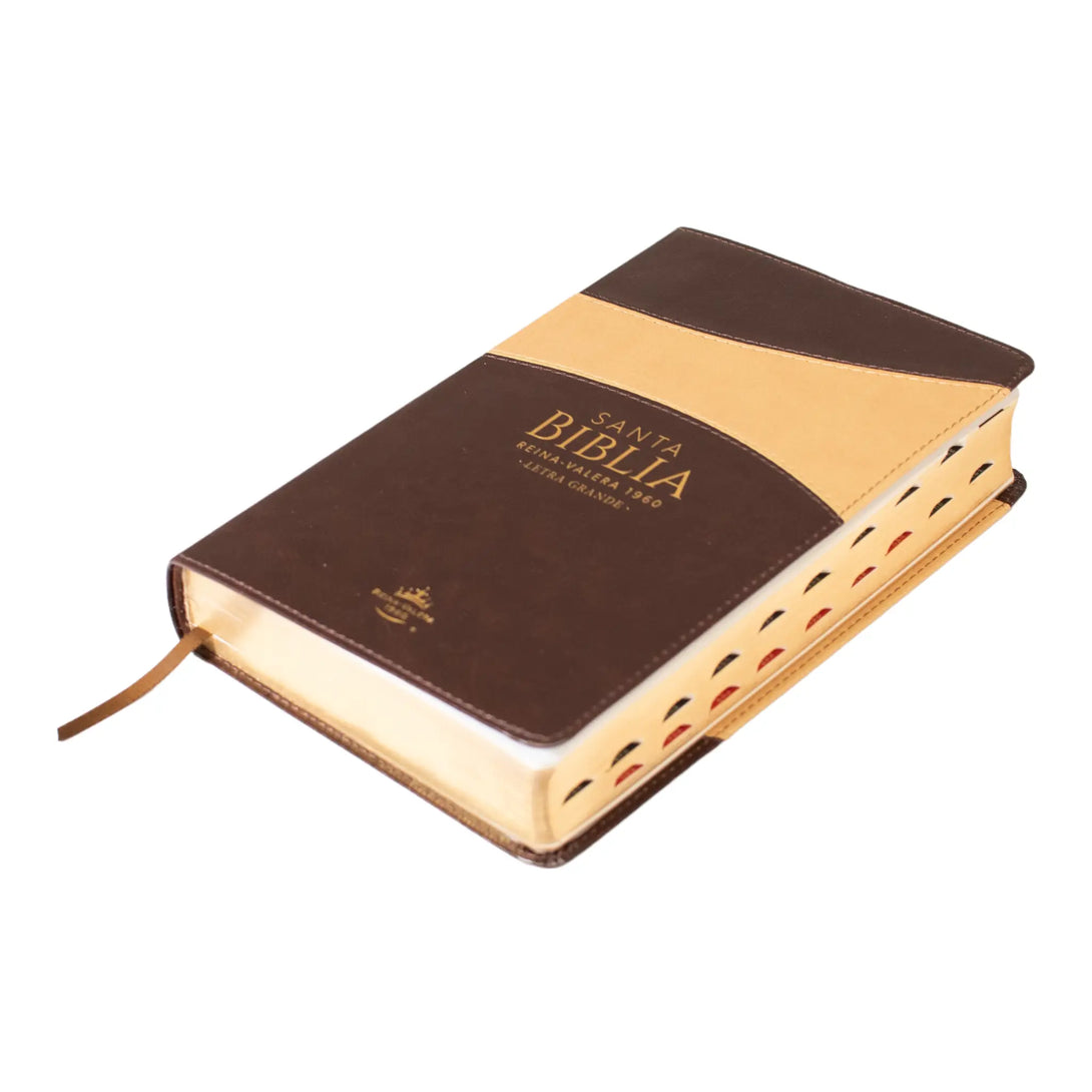 Biblia Reina Valera 1960 tamaño manual letra grande 12