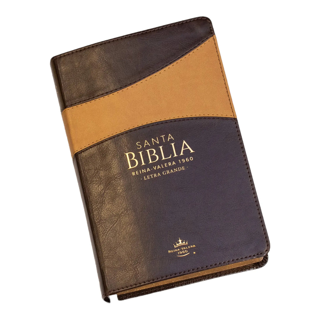 Biblia Reina Valera 1960 tamaño manual letra grande 12