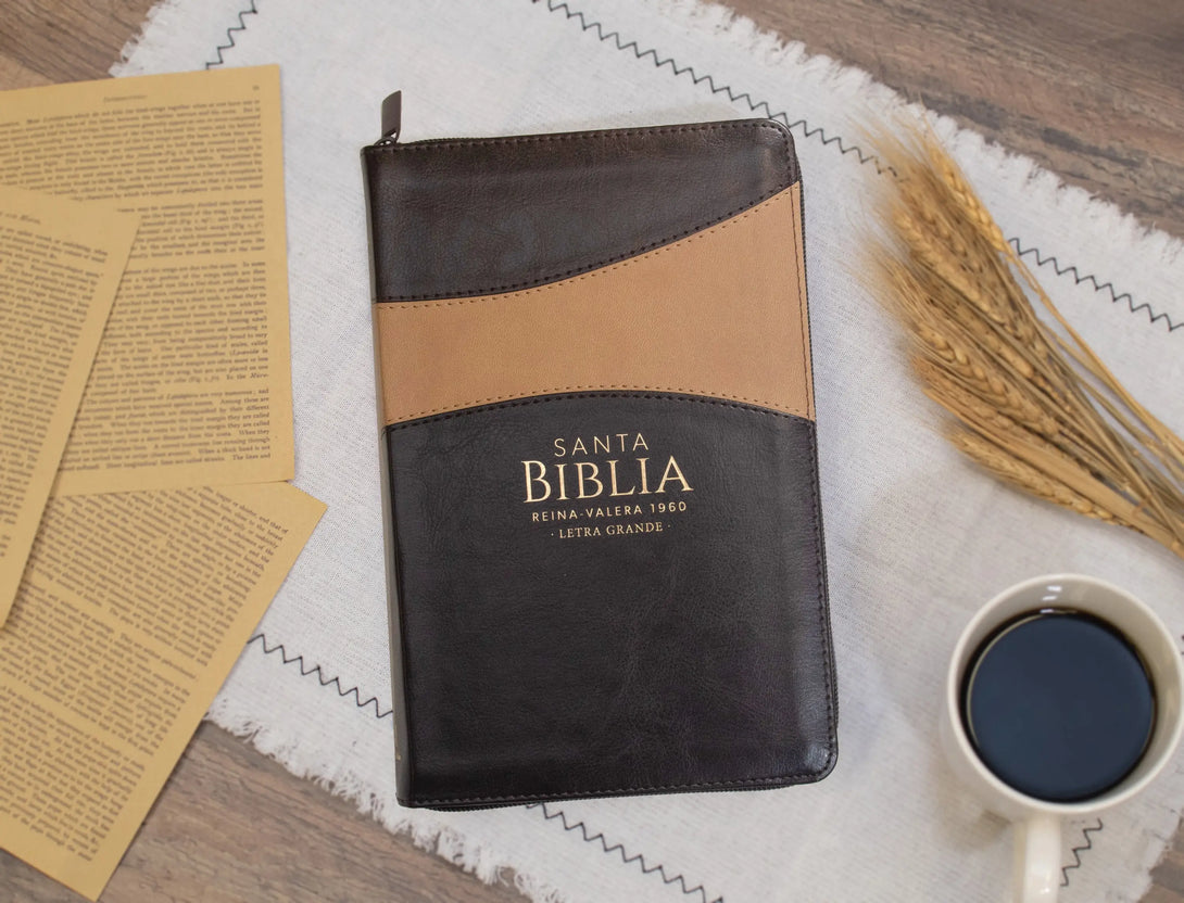 Biblia Reina Valera 1960 tamaño manual letra grande 12