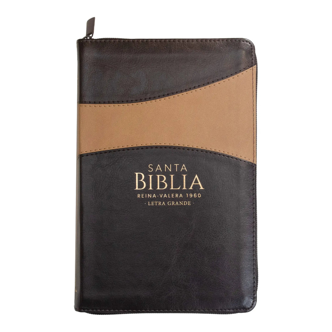 Biblia Reina Valera 1960 tamaño manual letra grande 12