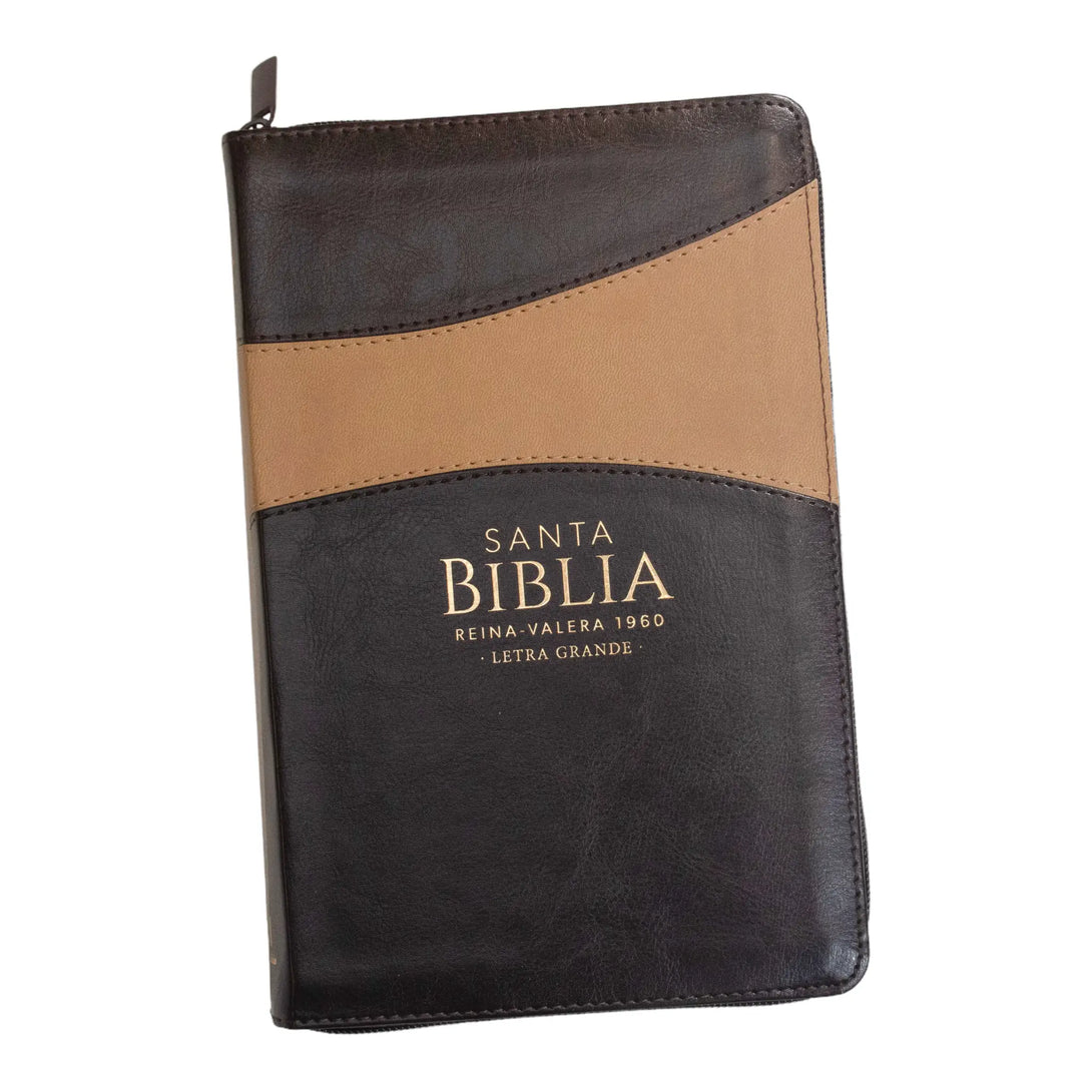 Biblia Reina Valera 1960 tamaño manual letra grande 12