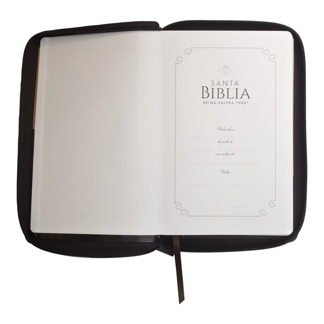 Biblia Reina Valera 1960 tamaño manual letra grande 12