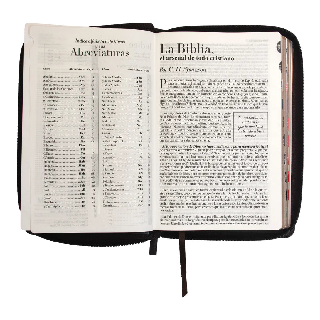 Biblia Reina Valera 1960 tamaño manual letra grande 12
