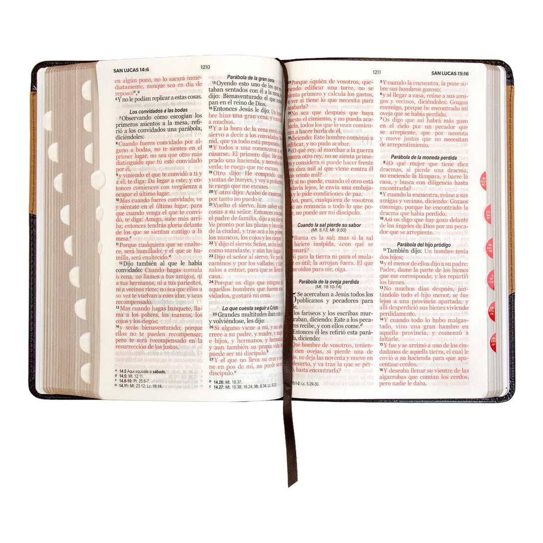 Biblia Reina Valera 1960 tamaño manual letra grande 12