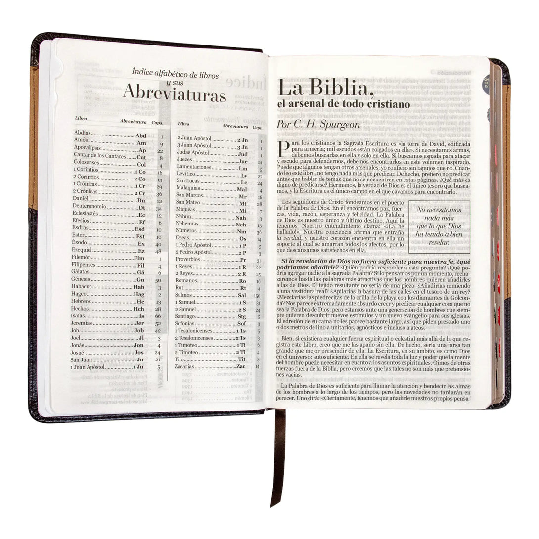 Biblia Reina Valera 1960 tamaño manual letra grande 12