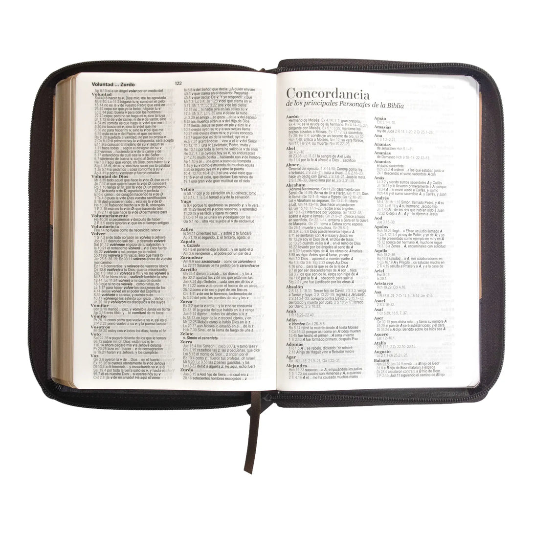 Biblia Reina Valera 1960 tamaño manual letra grande 12