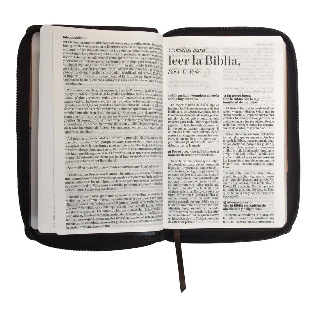 Biblia Reina Valera 1960 tamaño manual letra grande 12