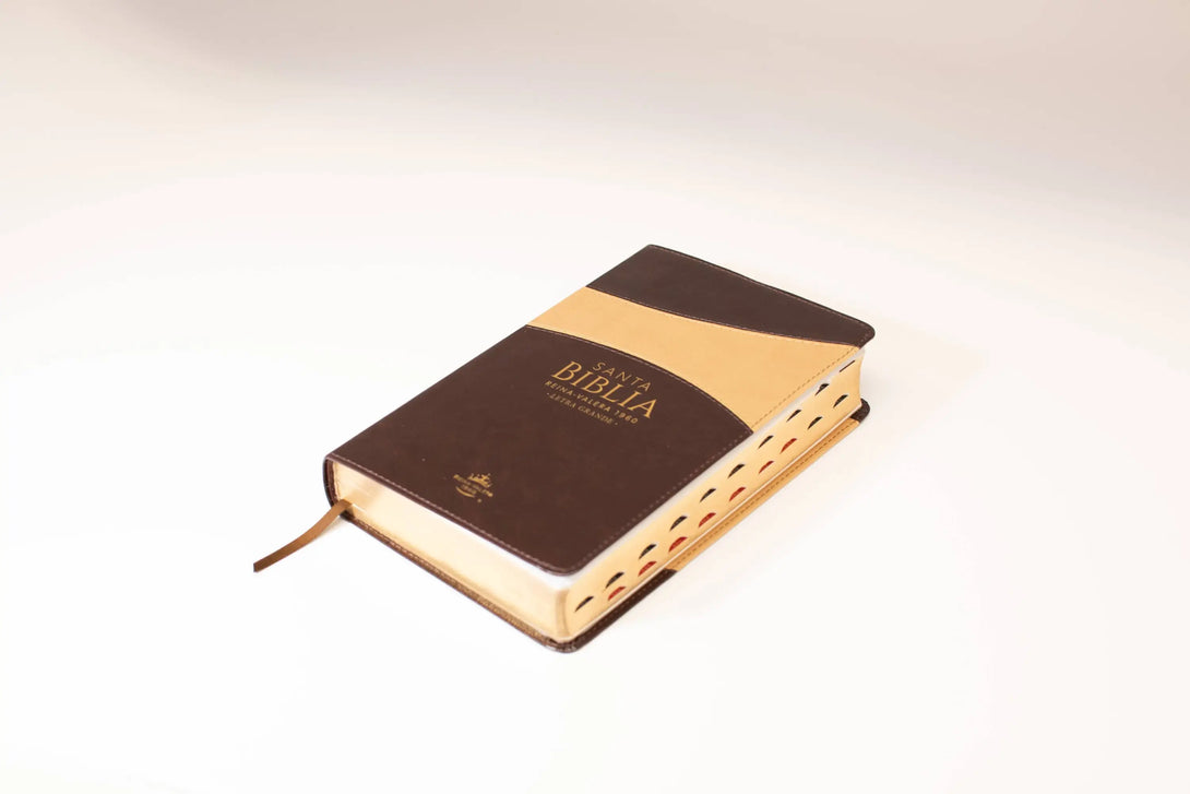 Biblia Reina Valera 1960 tamaño manual letra grande 12