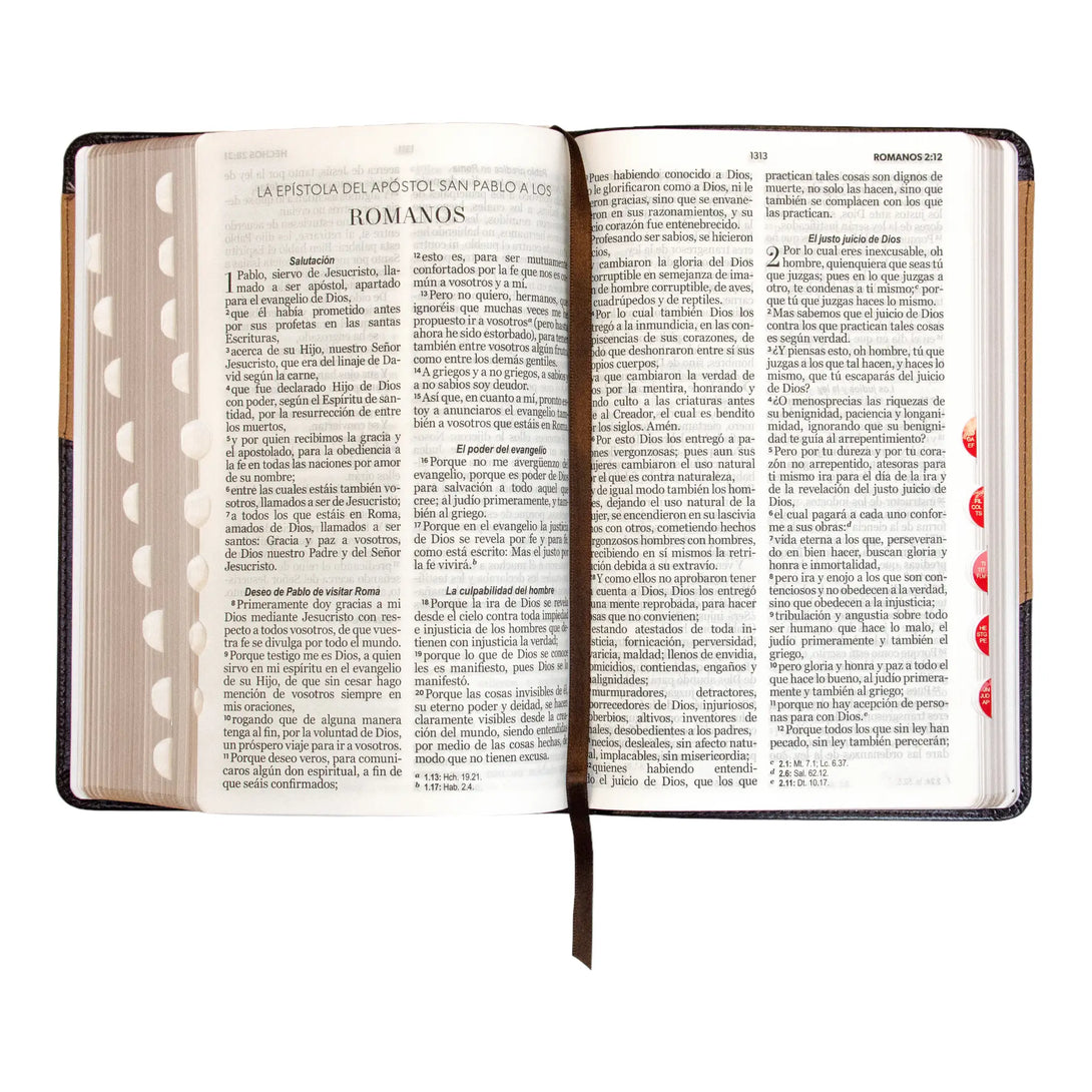 Biblia Reina Valera 1960 tamaño manual letra grande 12