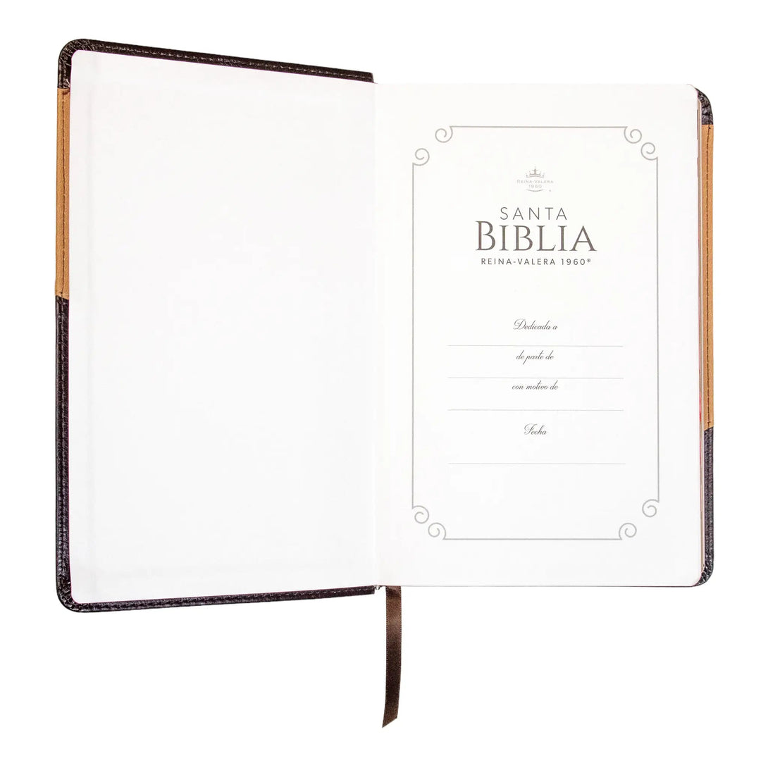 Biblia Reina Valera 1960 tamaño manual letra grande 12