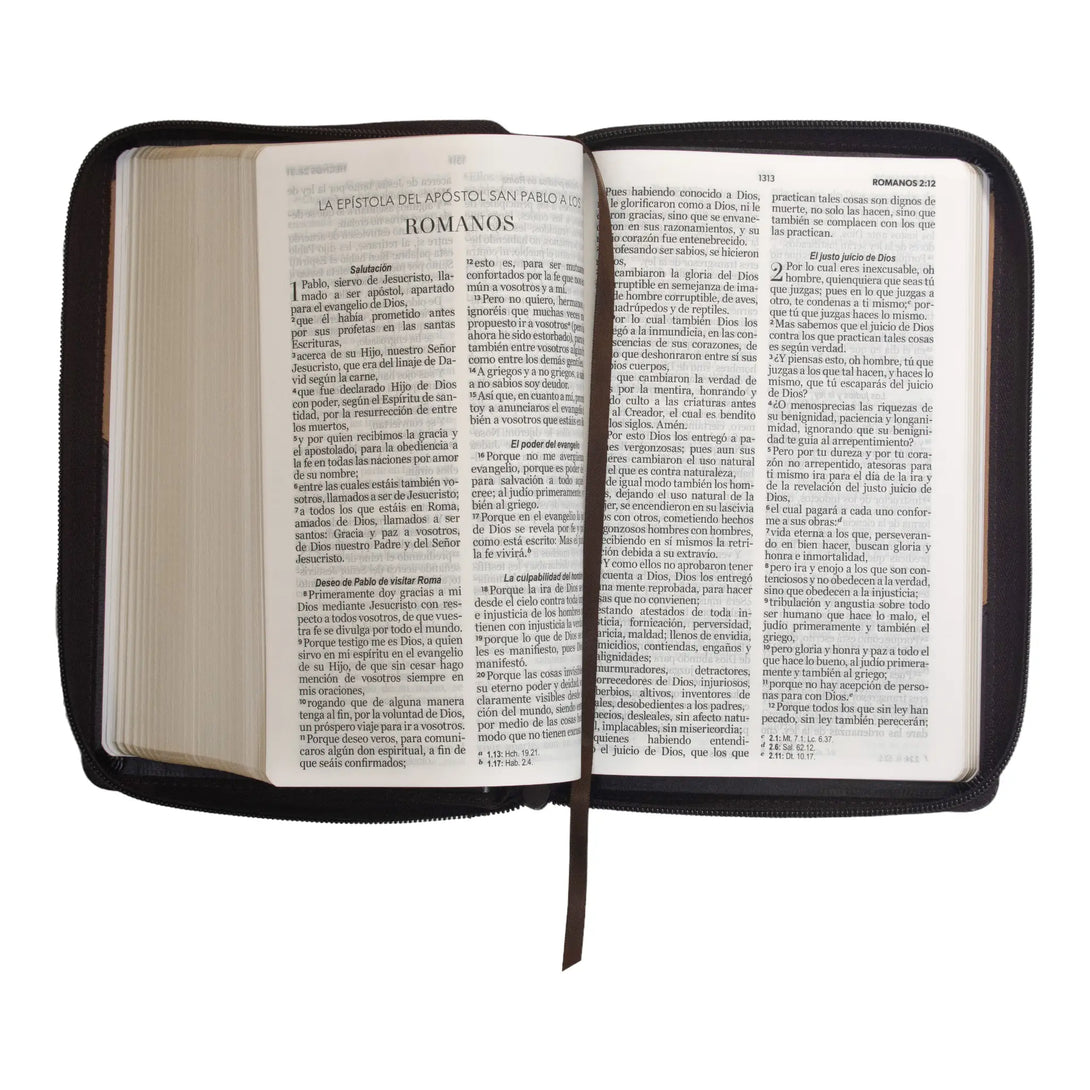 Biblia Reina Valera 1960 tamaño manual letra grande 12