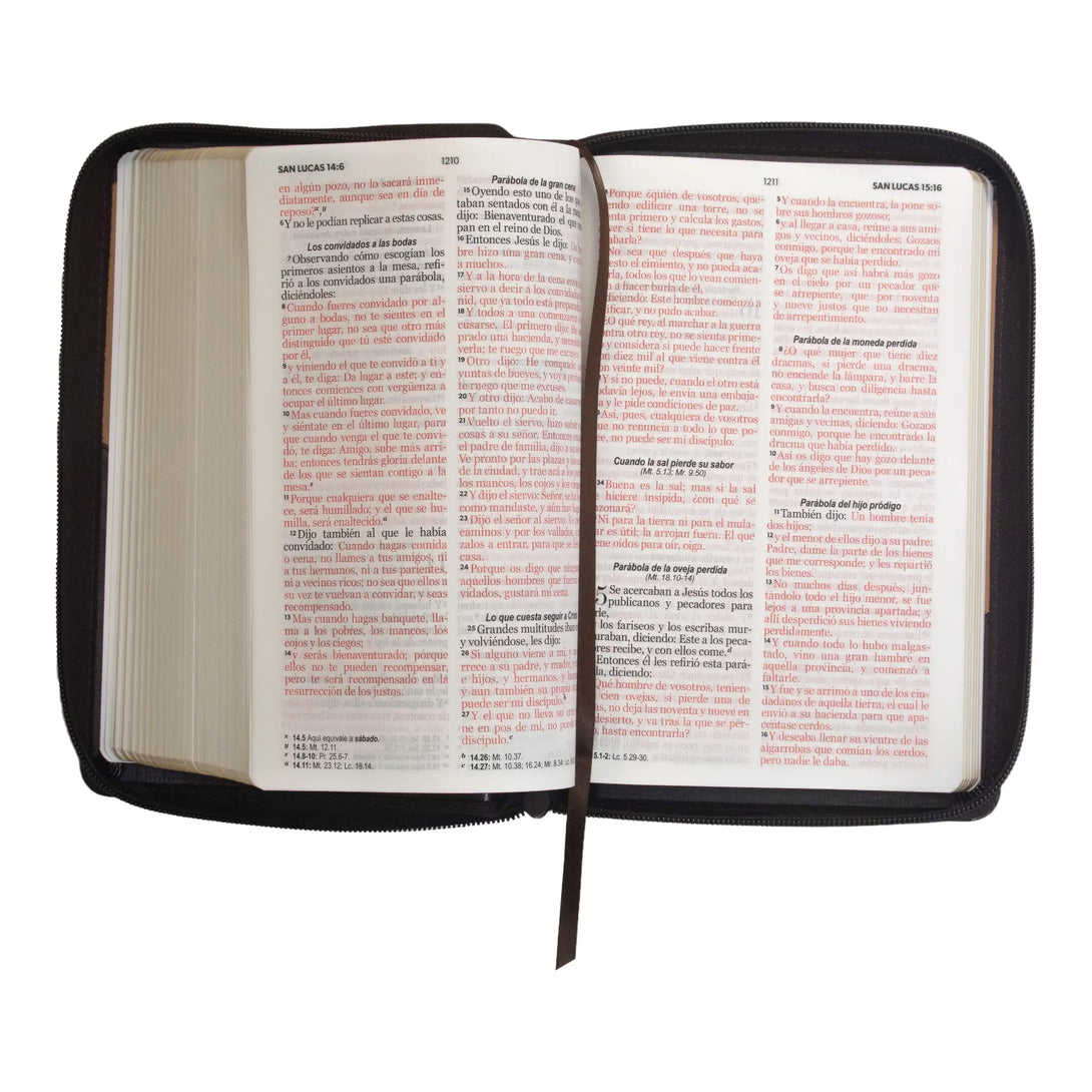 Biblia Reina Valera 1960 tamaño manual letra grande 12