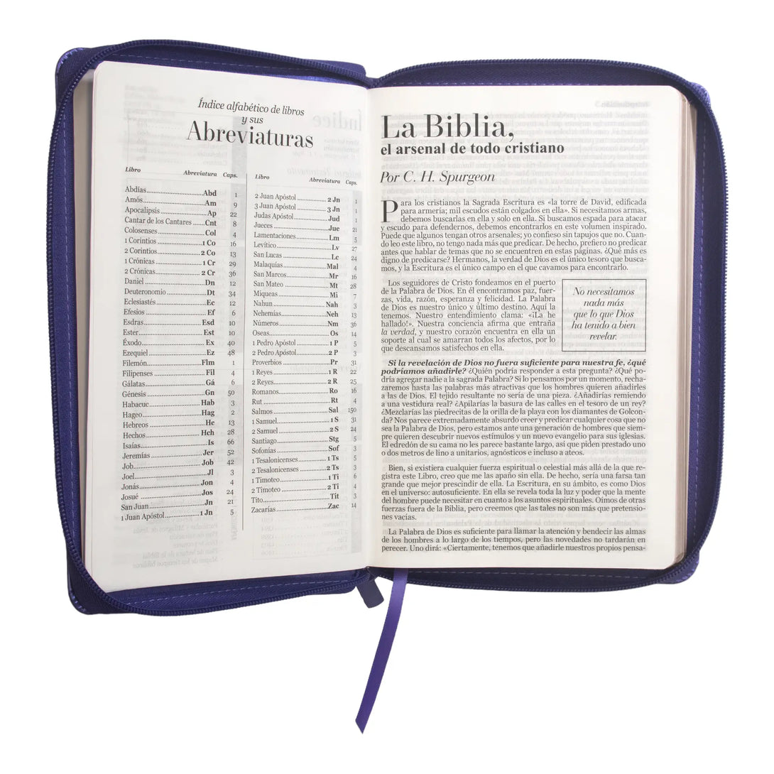 Biblia Reina Valera 1960 tamaño manual letra grande 12