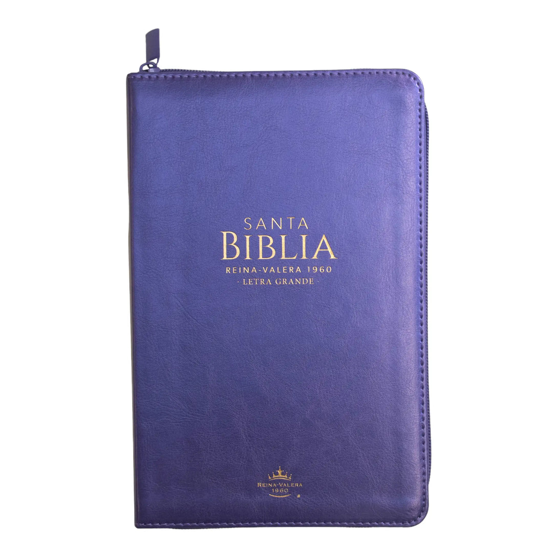 Biblia Reina Valera 1960 tamaño manual letra grande 12