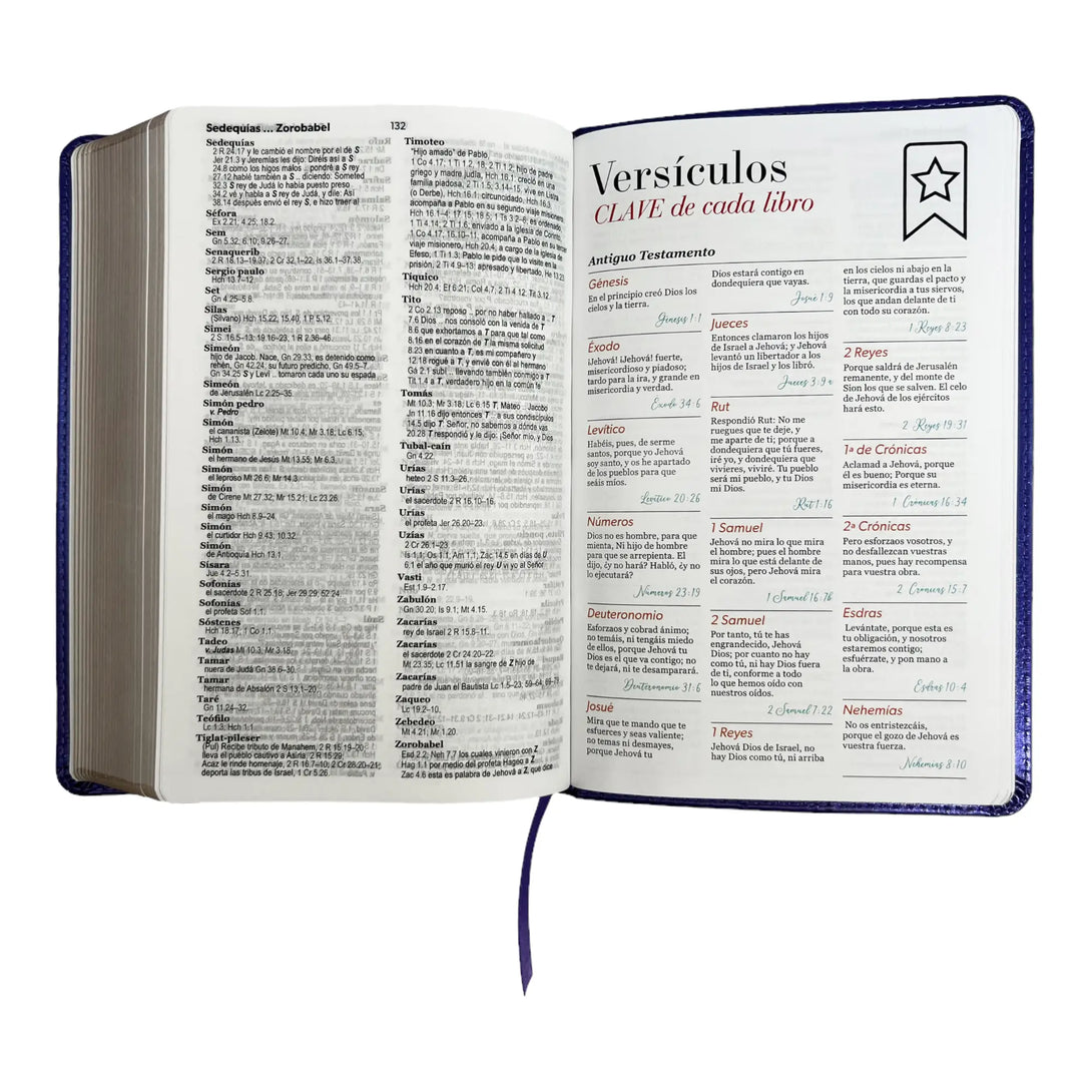 Biblia Reina Valera 1960 tamaño manual letra grande 12