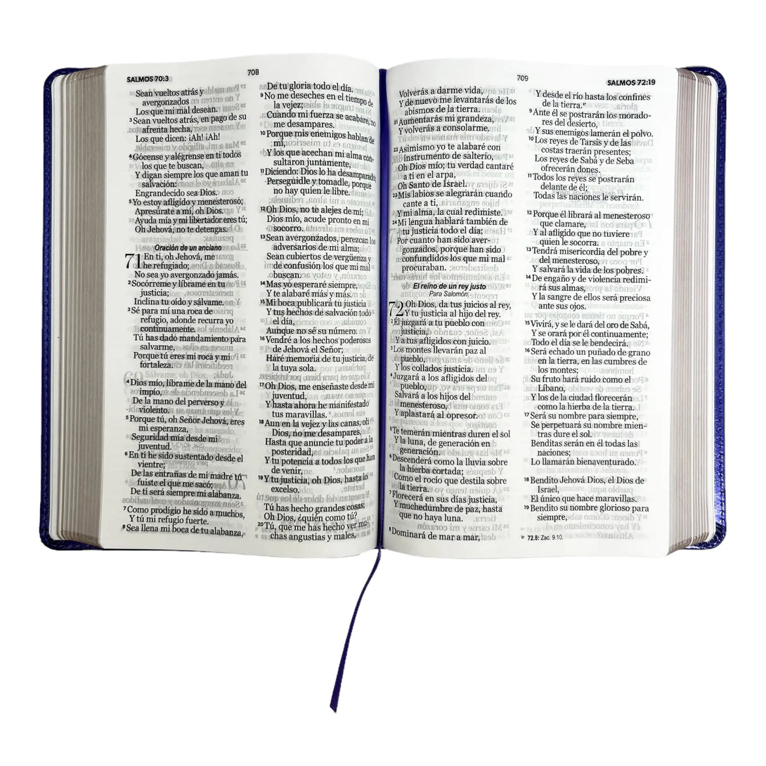 Biblia Reina Valera 1960 tamaño manual letra grande 12