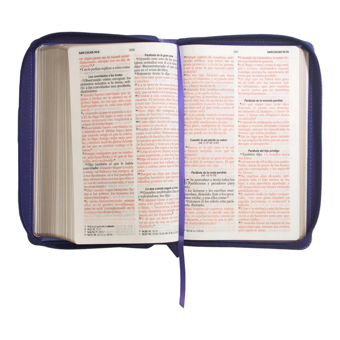 Biblia Reina Valera 1960 tamaño manual letra grande 12