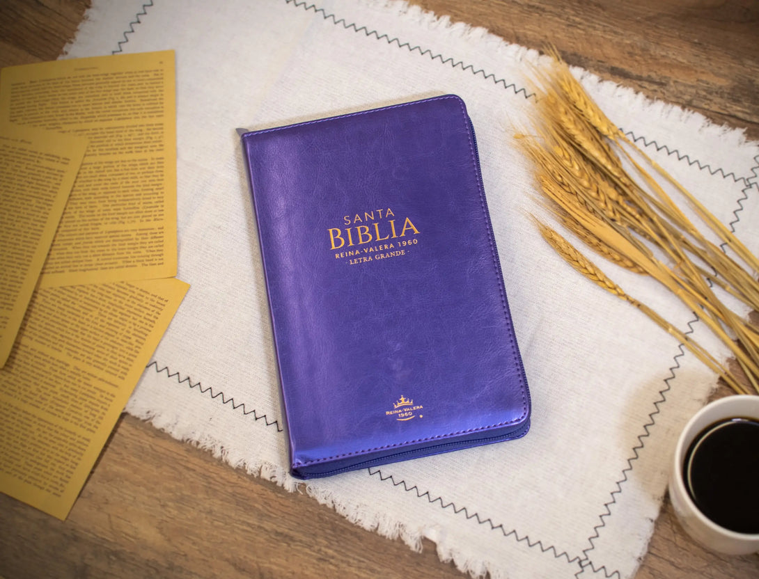 Biblia Reina Valera 1960 tamaño manual letra grande 12