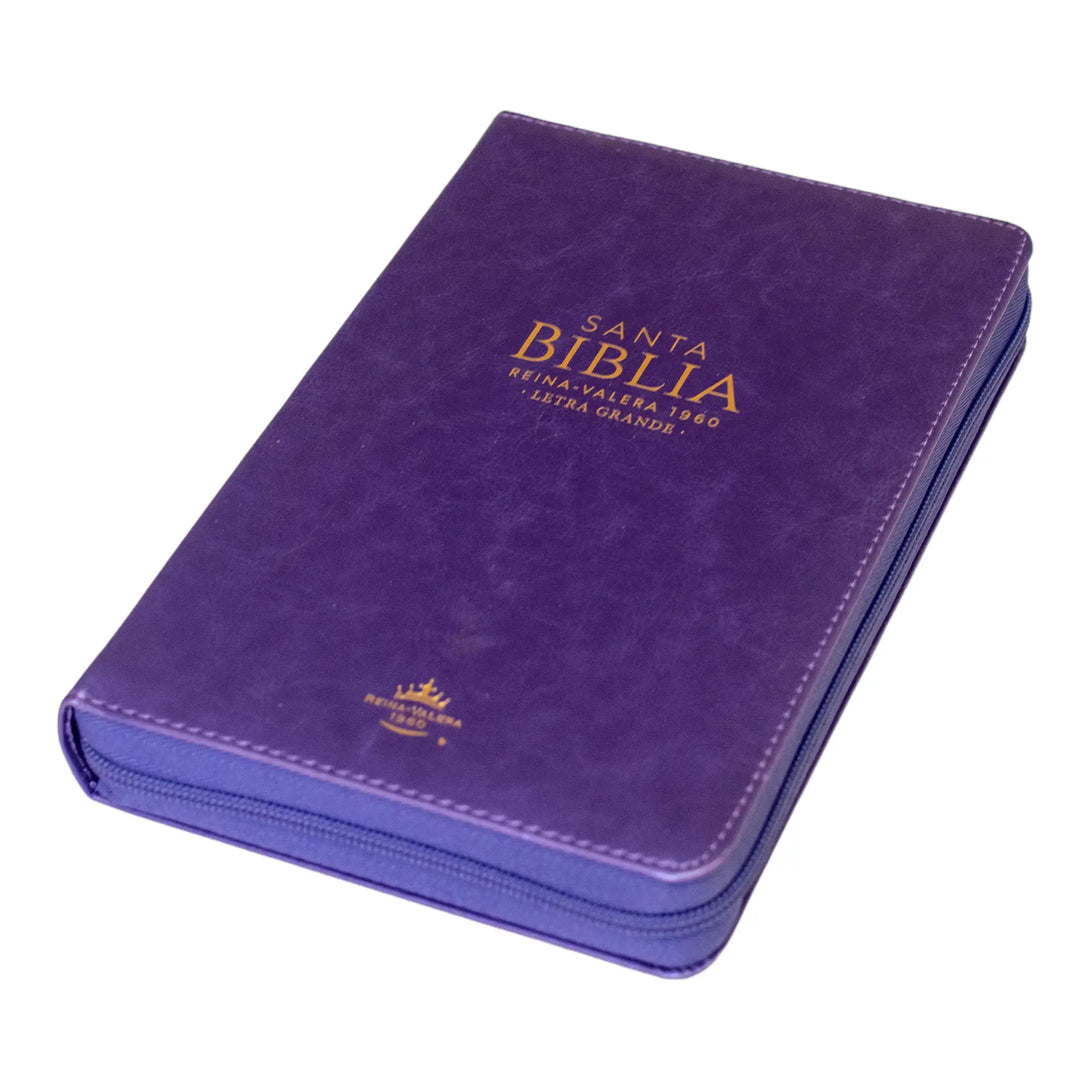 Biblia Reina Valera 1960 tamaño manual letra grande 12