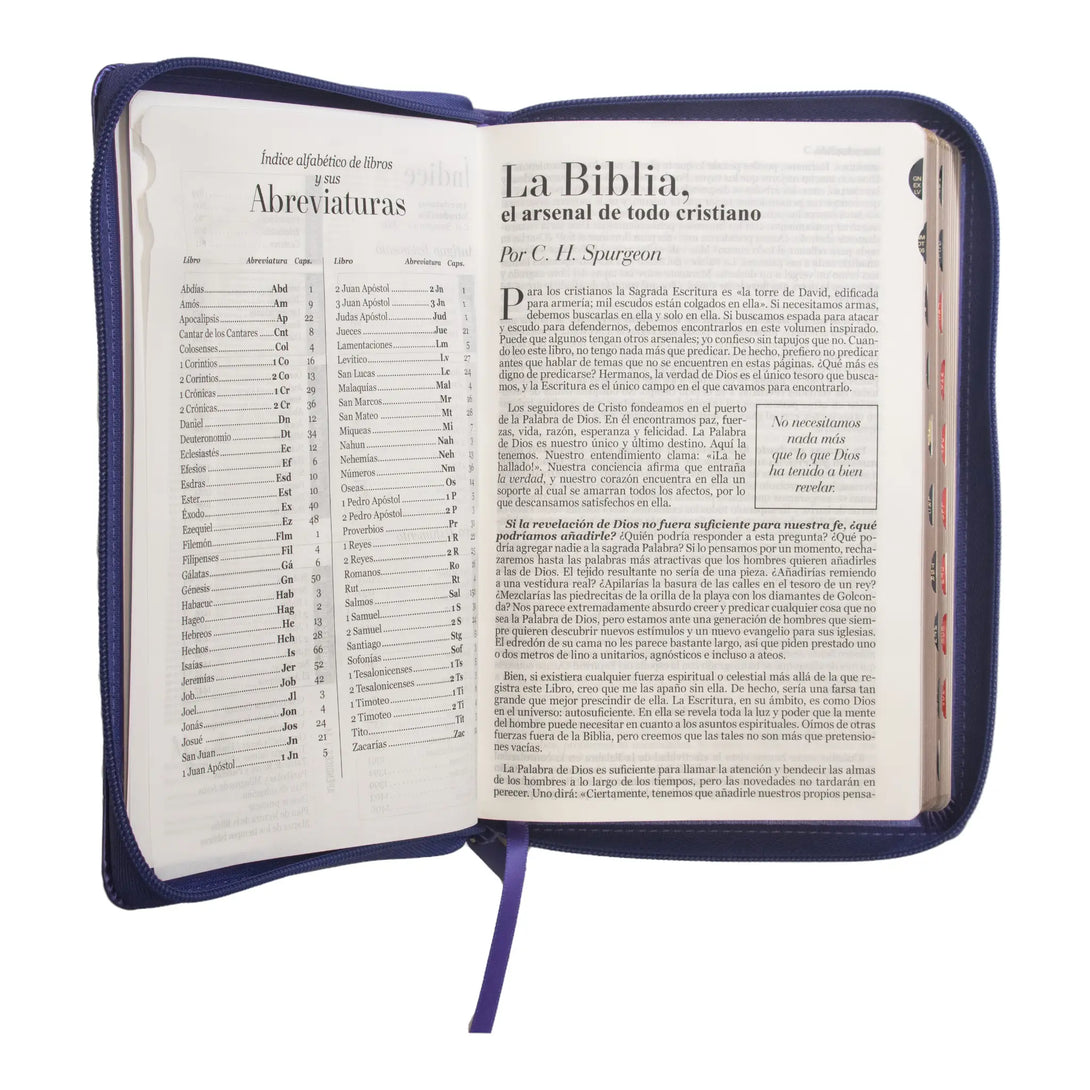 Biblia Reina Valera 1960 tamaño manual letra grande 12